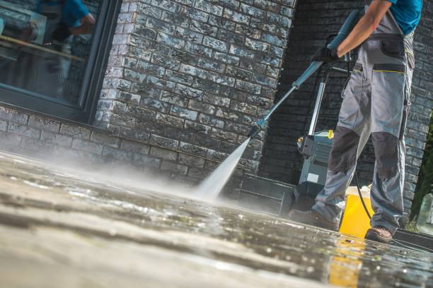 Best House Exterior Washing  in Warm Mineral Springs, FL