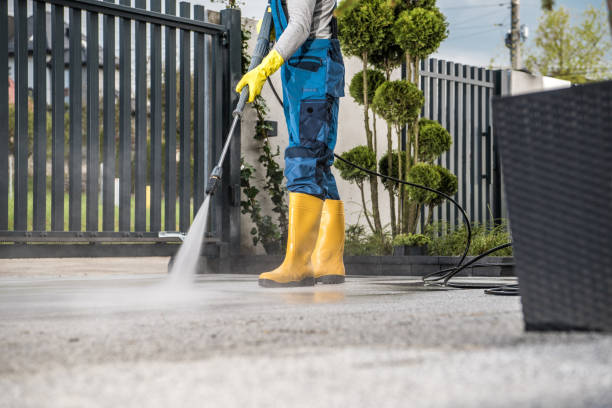 Best Fence Cleaning  in Warm Mineral Springs, FL